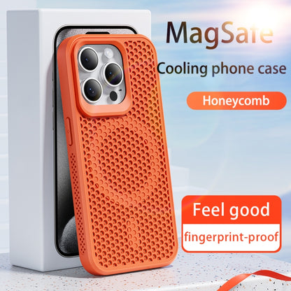 For iPhone 16 Pro MagSafe Magnetic Heat Dissipation Phone Case(Sky Blue) - iPhone 16 Pro Cases by buy2fix | Online Shopping UK | buy2fix