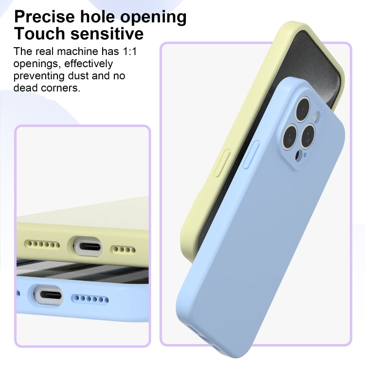 For iPhone 16 Pro Precise Hole Liquid Silicone Jelly Color Full Coverage Phone Case(Black) - iPhone 16 Pro Cases by buy2fix | Online Shopping UK | buy2fix