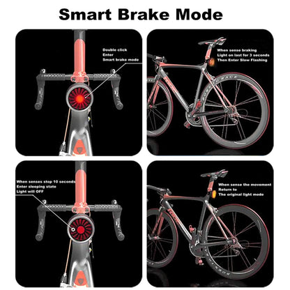 Bicycle Smart Sensor Brake Light USB Tail Light Warning Light(Titanium) - Taillights by buy2fix | Online Shopping UK | buy2fix