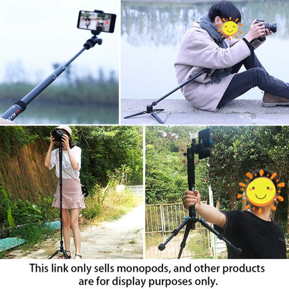 BEXIN P308A Portable Travel Outdoor DSLR Camera Aluminum Alloy Monopod Holder (Black) - Camera Accessories by BEXIN | Online Shopping UK | buy2fix
