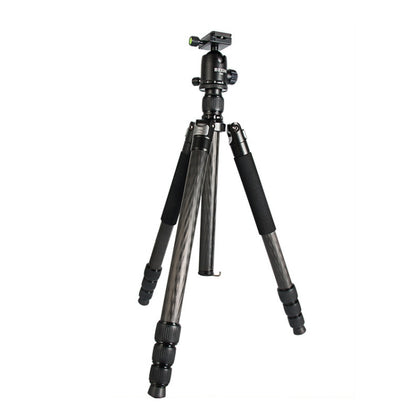 BEXIN W324C G44 Carbon Fiber Tripod Stable Shooting Camera for Video Point Dslr Camera - Tripods by BEXIN | Online Shopping UK | buy2fix