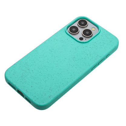 For iPhone 15 Pro Max Wheat MagSafe Magnetic Straw Material + TPU Phone Case(Green) - iPhone 15 Pro Max Cases by buy2fix | Online Shopping UK | buy2fix