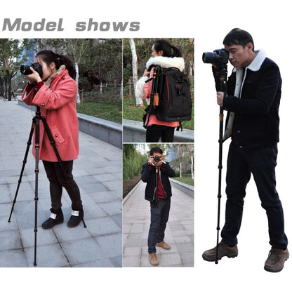 ZOMEI Z688 Portable Professional Travel Magnesium Alloy Material Tripod Monopod with Ball Head for Digital Camera - Camera Accessories by ZOMEI | Online Shopping UK | buy2fix