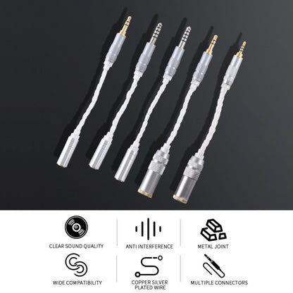 ZS0021 2.5mm Male to 4.4mm Female Balance Adapter Cable (Silver) - Headset Accessories by buy2fix | Online Shopping UK | buy2fix