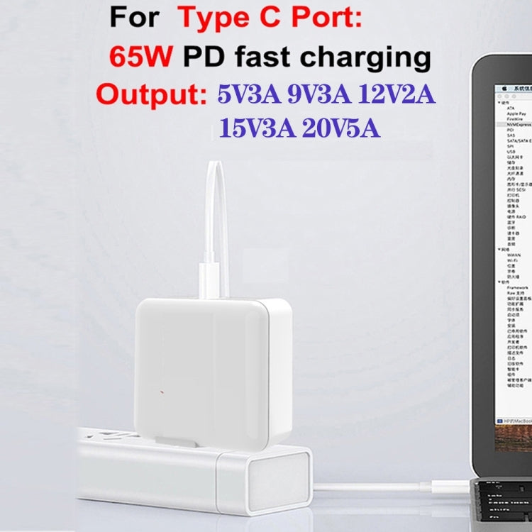 GaN 100W Dual USB + Dual USB-C/Type-C Multi Port Charger with 2m Type-C to Type-C Data Cable Set US / EU / UK / AU Plug - Cable & Adapter by buy2fix | Online Shopping UK | buy2fix