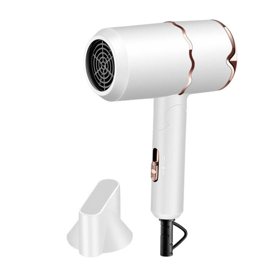 Protheus FL-8128 Household Folding Blue Light Anion Negative Ion Hot And Cold Air Hair Dryer, CN Plug(White) - Home & Garden by Protheus | Online Shopping UK | buy2fix