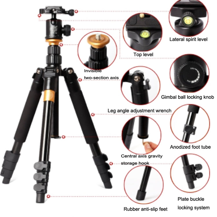 QingZhuangShiDai Q570 Multifunctional Digital SLR Camera Portable Tripod(Black) - Tripods by QingZhuangShiDai | Online Shopping UK | buy2fix